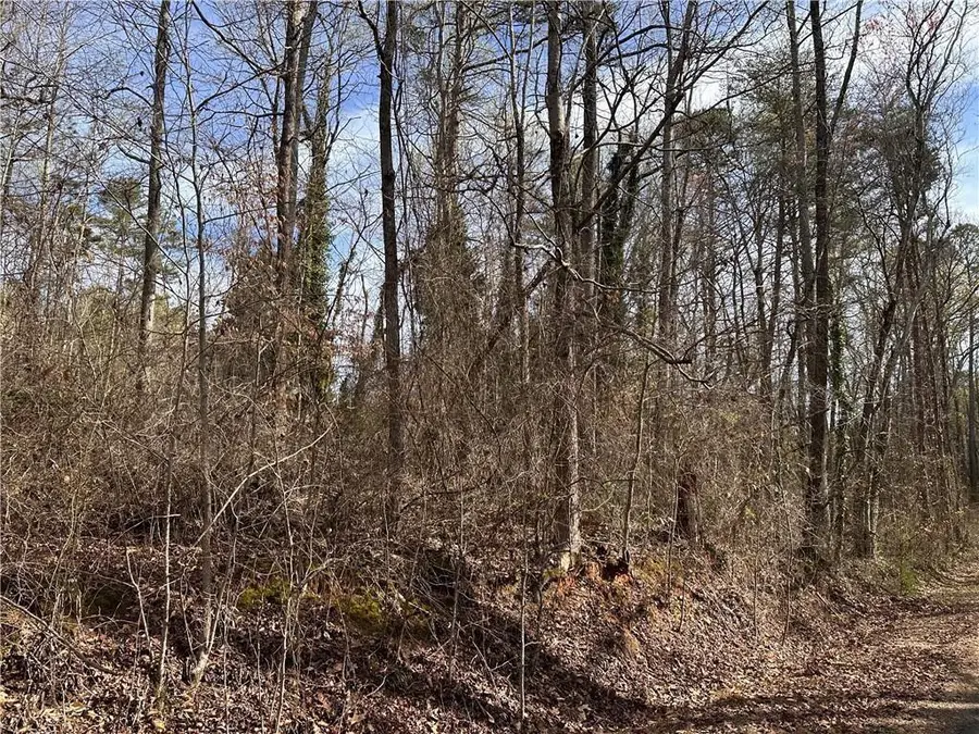 6785 Anderson Lake Road, Dawsonville, GA 30534 - Image #3