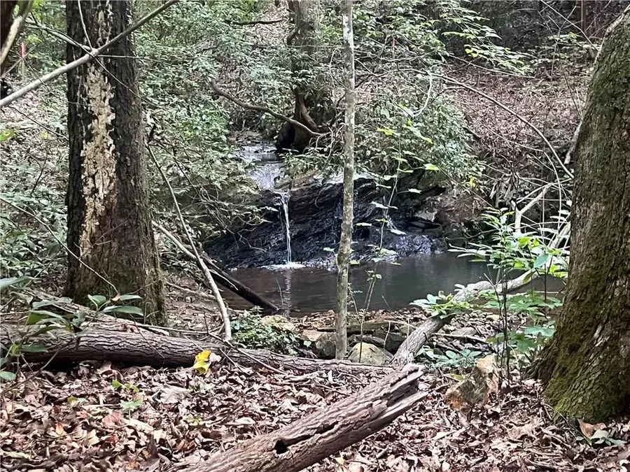 2049 Henry Scott Rd-lot C 2.3 Acres, Ball Ground, GA 30107 - Image #2