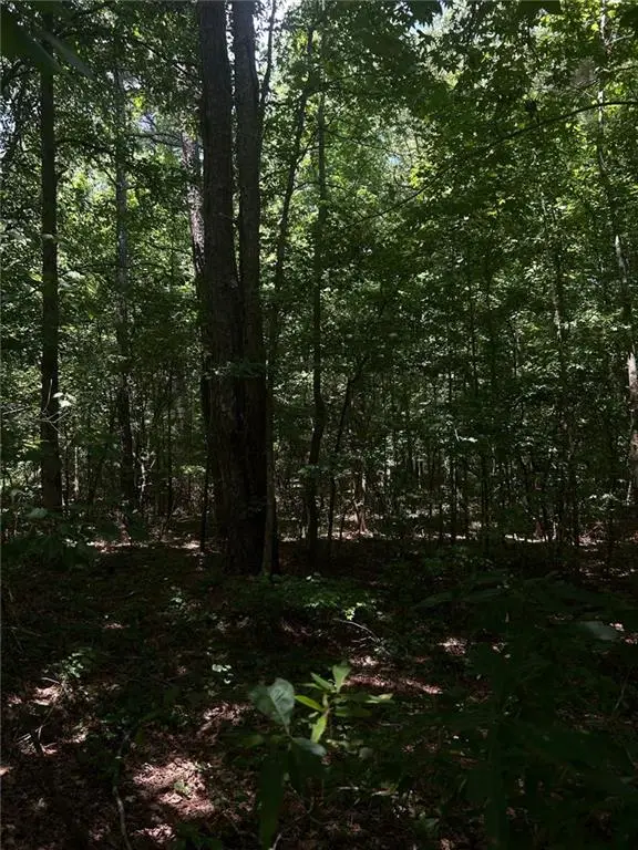 100 St Andrews Court, Social Circle, GA 30025 - Image #3