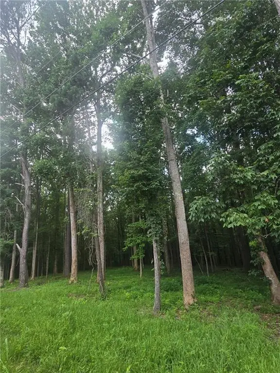 6147 Little Ridge Road, Acworth, GA 30102 - #1