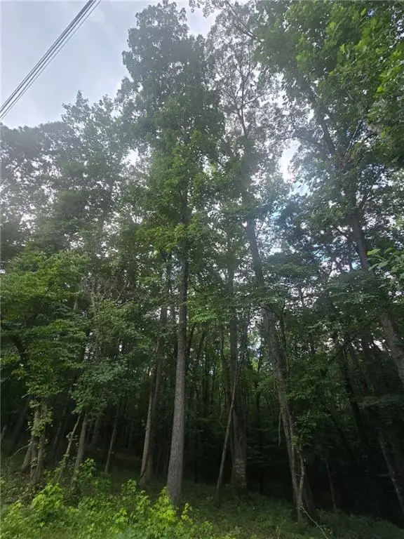 6147 Little Ridge Road, Acworth, GA 30102 - #2