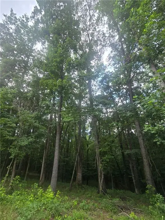 6147 Little Ridge Road, Acworth, GA 30102 - #3