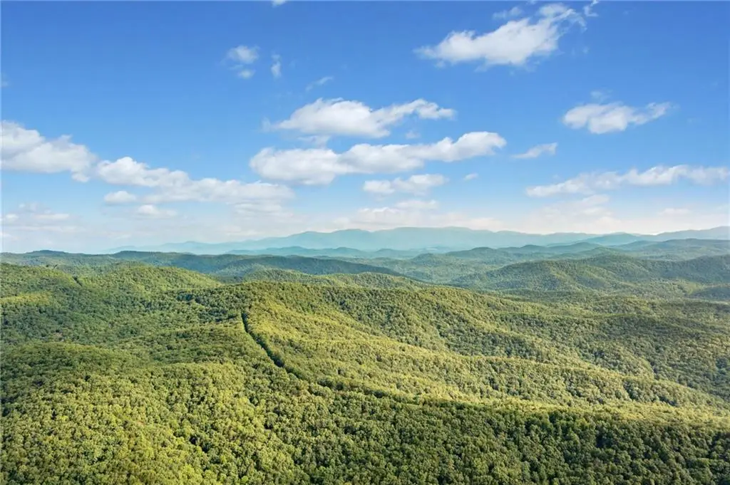 67 Falls Trail, Jasper, GA 30143 - #1