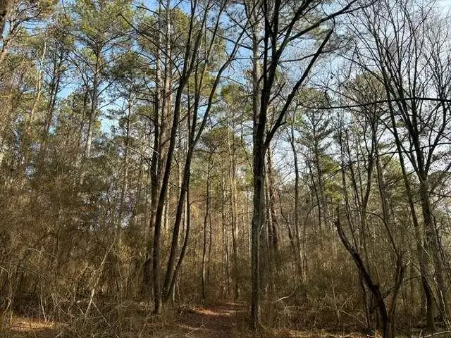 2994 Mt Zion Rd #1, Carrollton, GA 30117 - Image #1