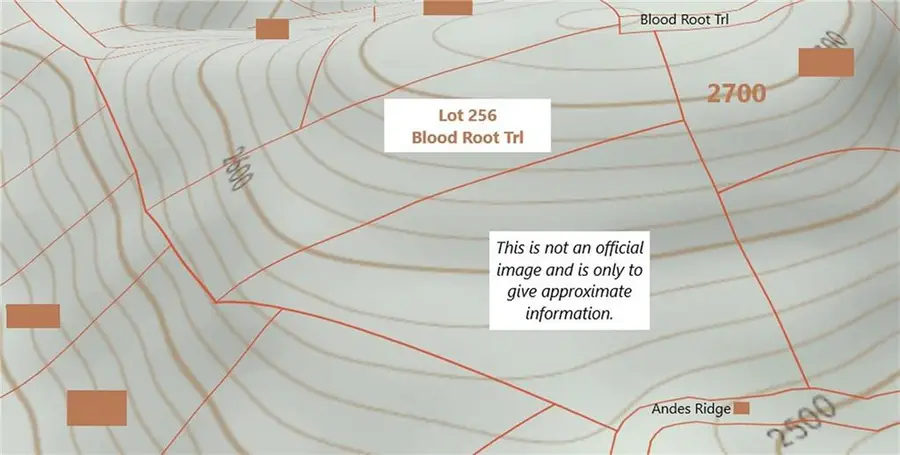 256 Blood Root Trail, Ellijay, GA 30536 - Image #3