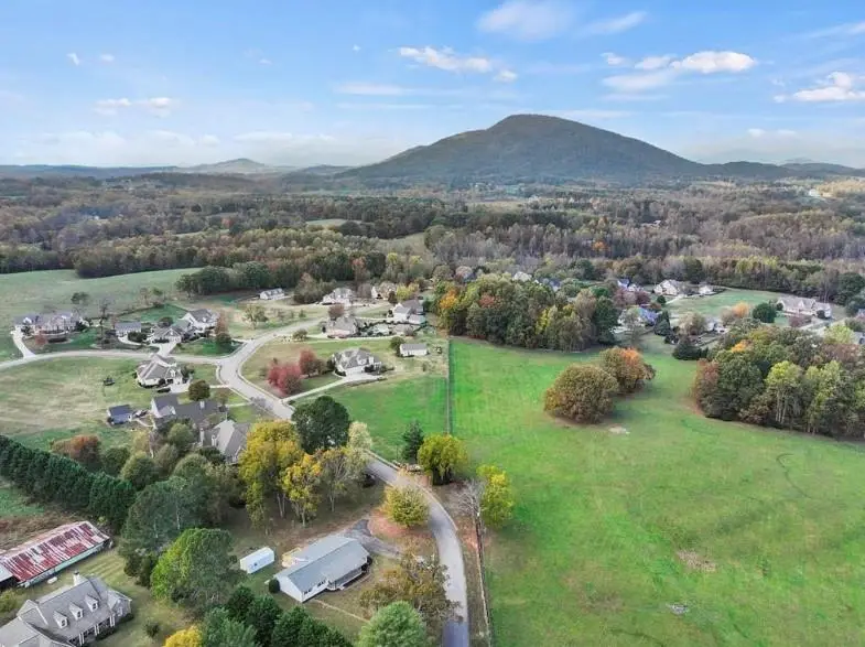 239 Brown Drive, Clermont, GA 30527 - Image #2