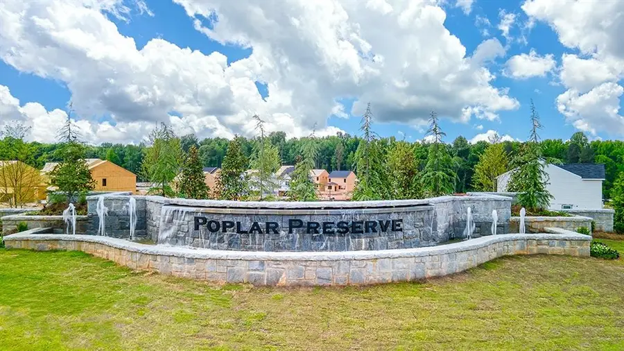 249 Lauritsen Way, Newnan, GA 30265 - Image #3