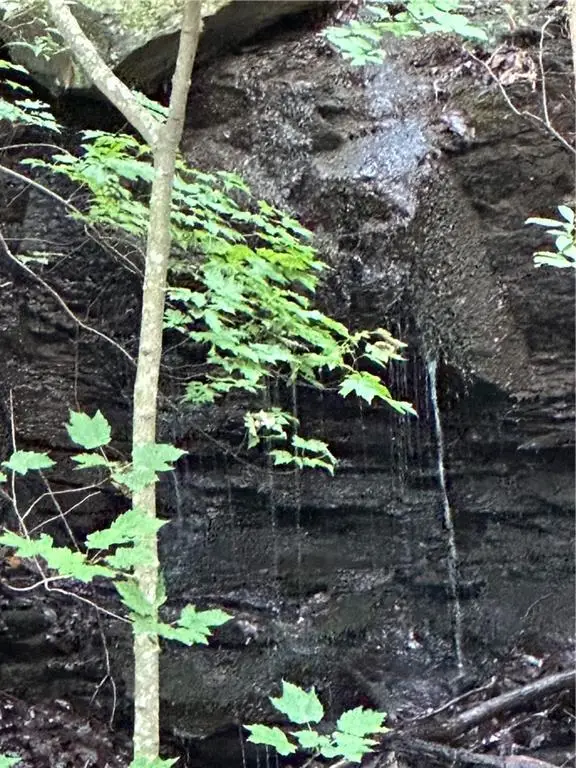 1225 Oglethorpe Road, Jasper, GA 30143 - Image #3