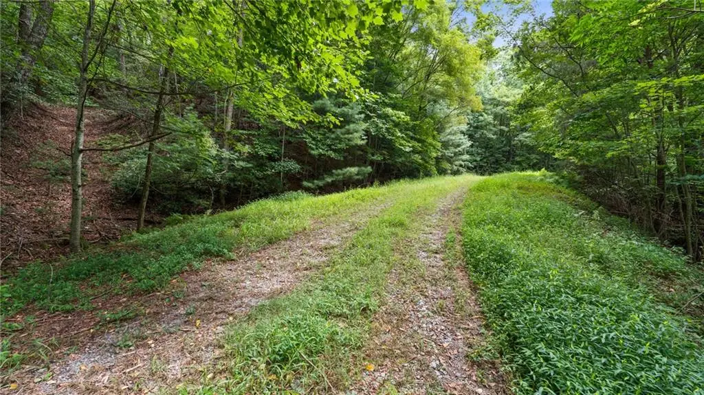 LOT 10 Papa Bear Path, Cherry Log, GA 30522 - #1
