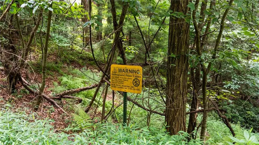 LOT 10 Papa Bear Path, Cherry Log, GA 30522 - #2