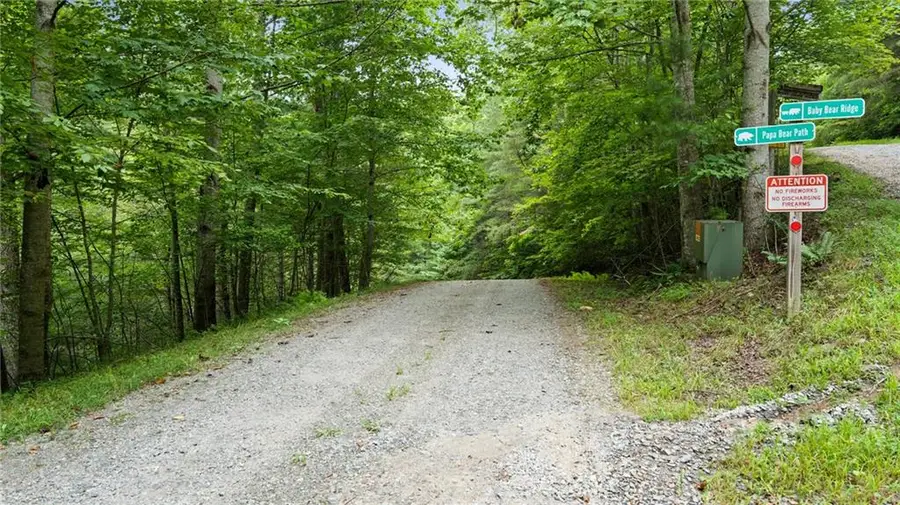 LOT 10 Papa Bear Path, Cherry Log, GA 30522 - #3