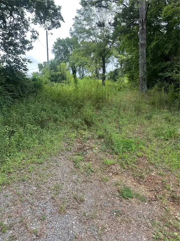 111 Dripping Rock Trail Se, Acworth, GA 30101 - Image #3