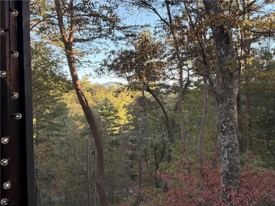 35 Leatherwood Mtn Road, Cherry Log, GA 30522 - Image #2