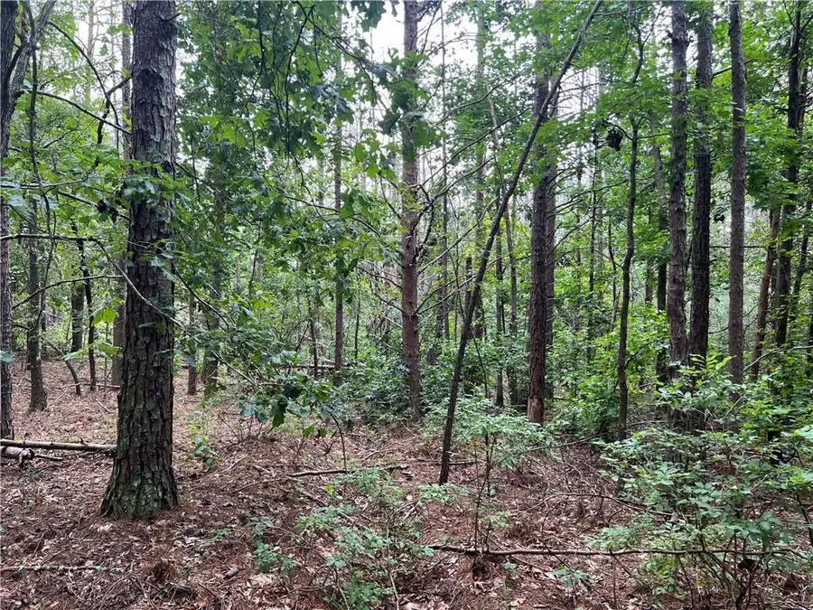 00 Timberwood Road Nw, White, GA 30184 - Image #2