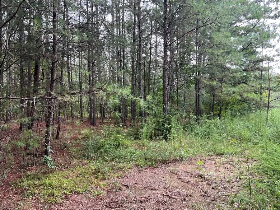 00 Timberwood Road Nw, White, GA 30184 - Image #3