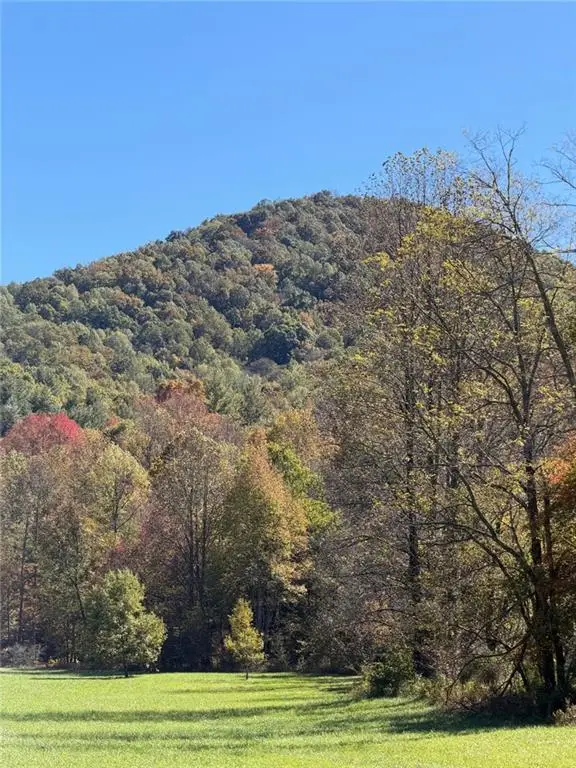 0 Old Bucktown Road, Ellijay, GA 30536