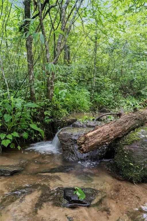 149 Happy Hollow Lane, Mineral Bluff, GA 30559 - Image #3