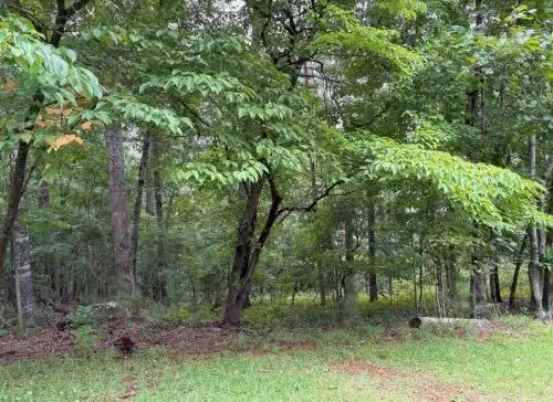 Lot 13 Olivia Lane, Ball Ground, GA 30107 - Image #1