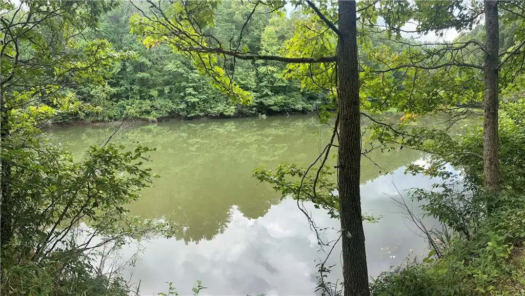 308 Old Whitestone Road, Talking Rock, GA 30175 - Image #1