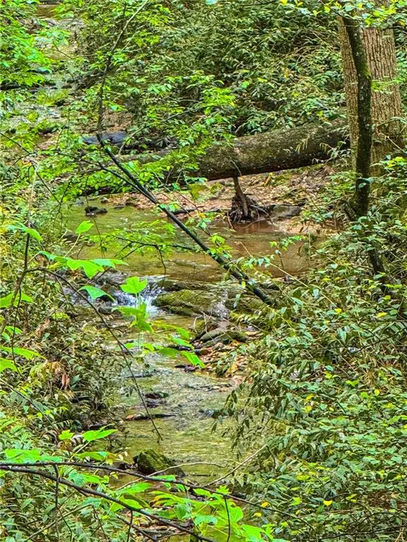 00 Cavender Creek Road, Dahlonega, GA 30533 - Image #1