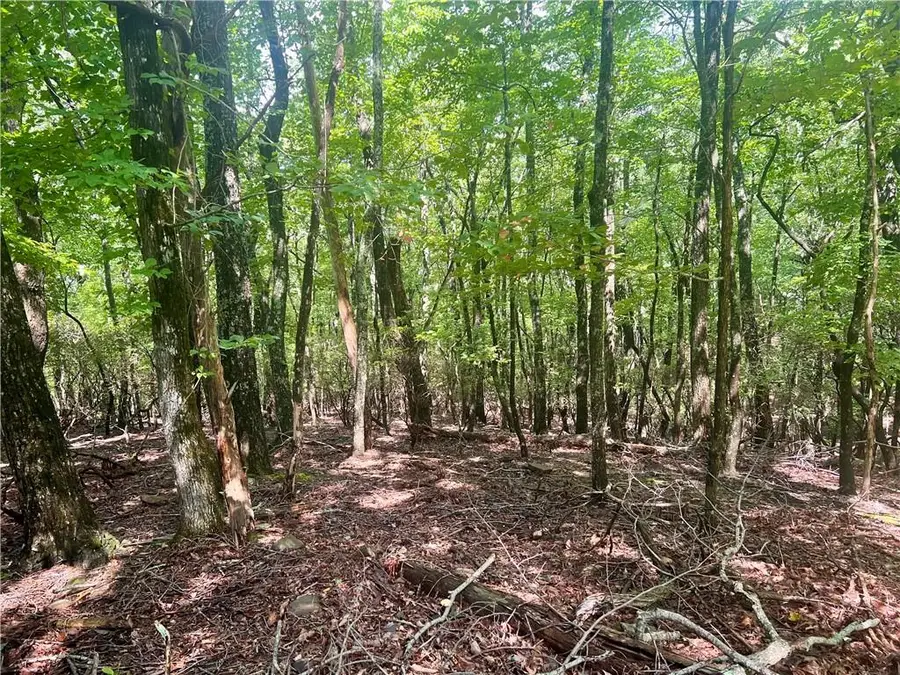 750 Tee Court, Jasper, GA 30143 - Image #2