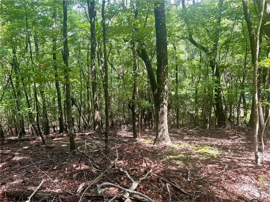 750 Tee Court, Jasper, GA 30143 - Image #3