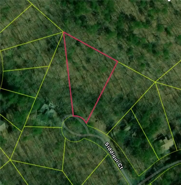 110 Siddiqui Court, Waleska, GA 30183 - Image #1