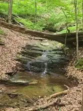 1649 Moss Patch Trail, Jasper, GA 30143