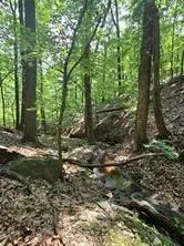 1649 Moss Patch Trail, Jasper, GA 30143 - Image #2