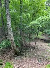 1649 Moss Patch Trail, Jasper, GA 30143 - Image #3