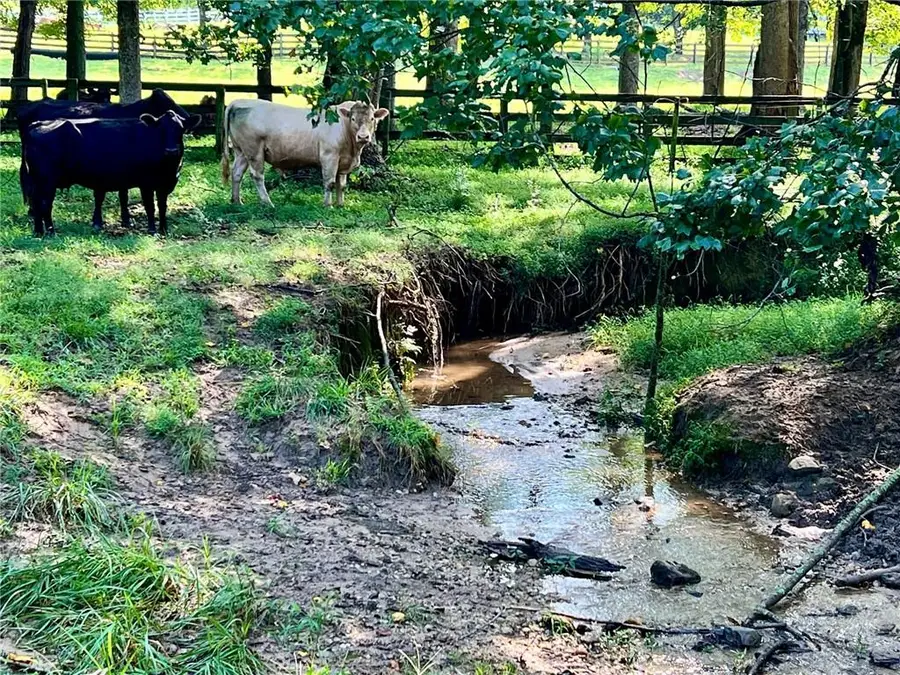 6223 Hulsey Road, Clermont, GA 30527 - Image #2