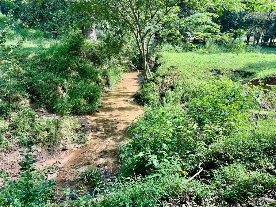 6223 Hulsey Road, Clermont, GA 30527 - Image #3