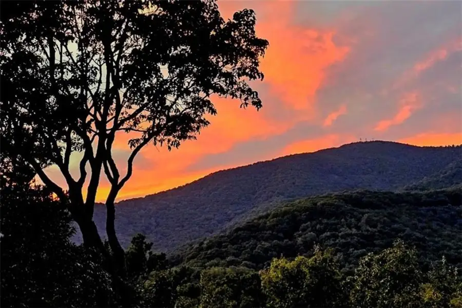 188 Tea Berry Lane, Jasper, GA 30143 - #2