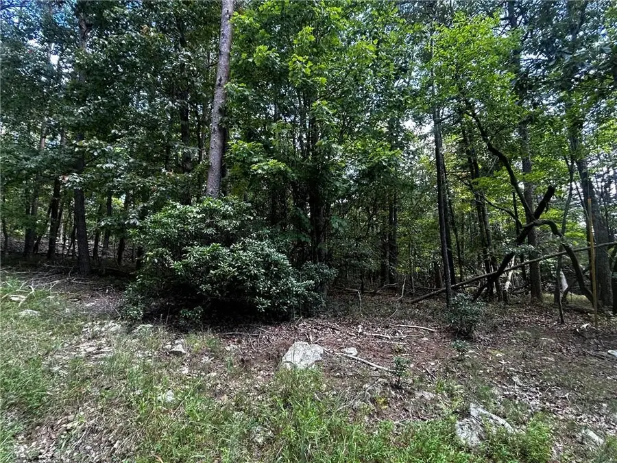 00 Elk Court, Jasper, GA 30143 - #2