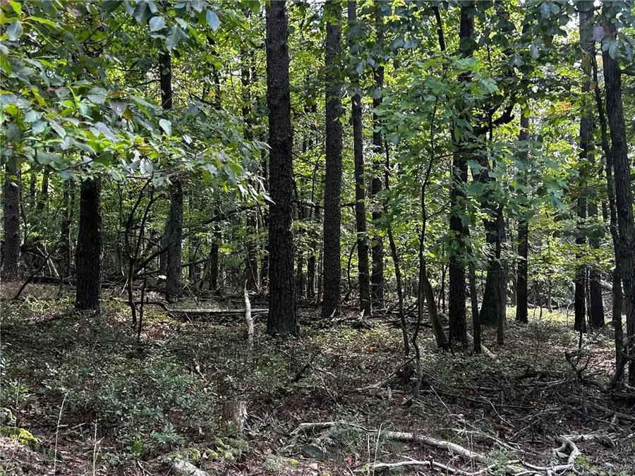 00 Elk Court, Jasper, GA 30143 - #3