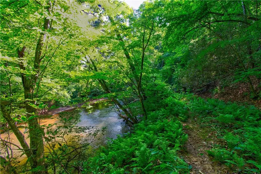 5.31 Tom Bell Odom Road, Dahlonega, GA 30533 - Image #3