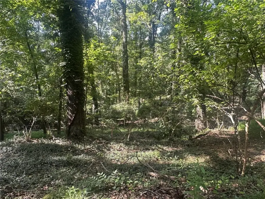 112 Cherry, 0 Cherry Street, Roswell, GA 30075 - Image #3