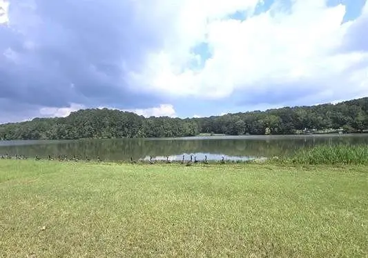 LOT 13 County Road 92, Cedar Bluff, AL 35959