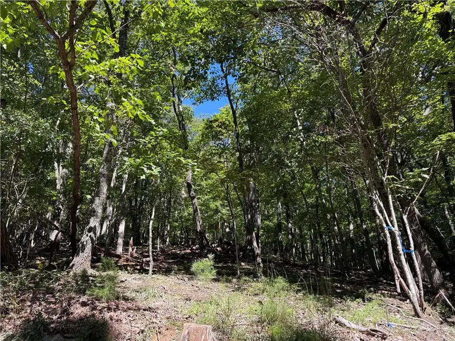 0 Moss Patch Trail, Jasper, GA 30143 - Image #2