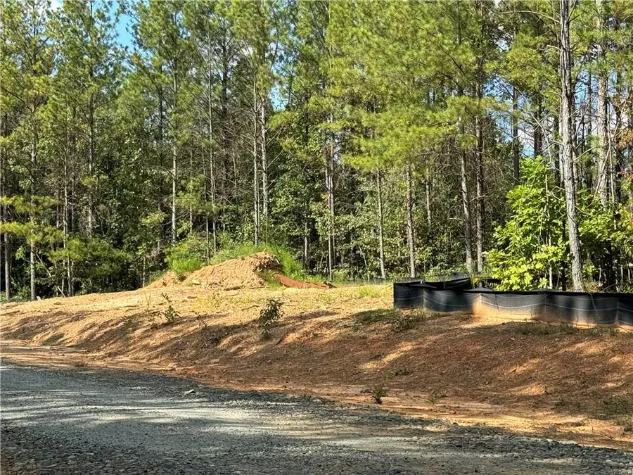 451 Lone Bear Path, Dallas, GA 30132 - #3