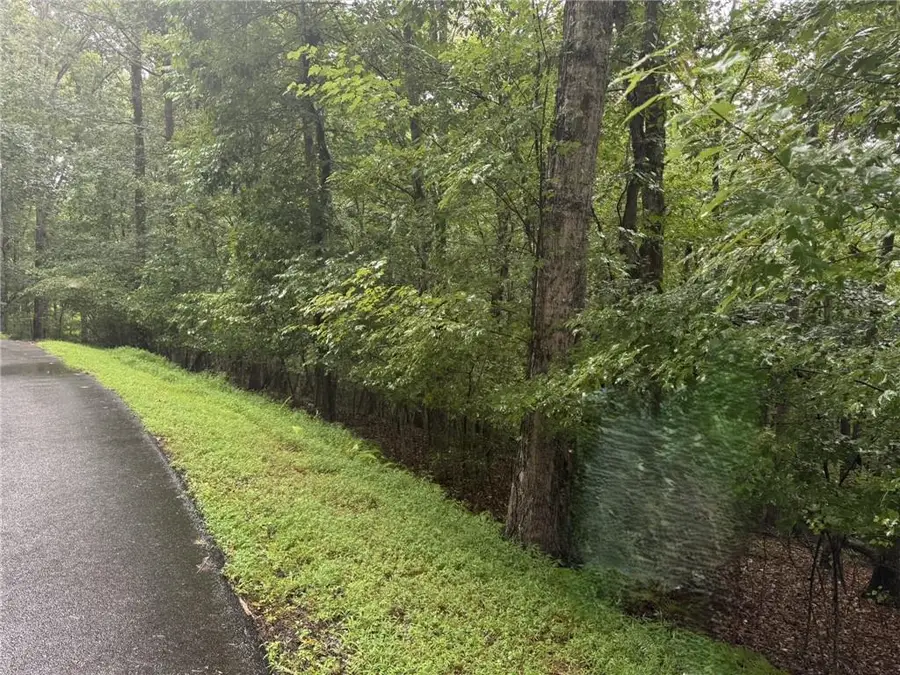 0 Enchanted Woods Drive, Blairsville, GA 30512 - Image #2