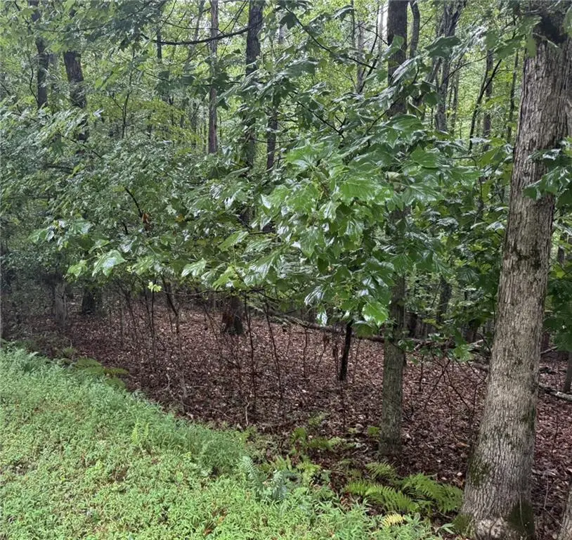 0 Enchanted Woods Drive, Blairsville, GA 30512 - Image #3