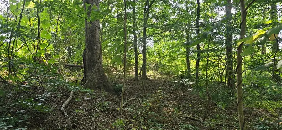 Lot2&3 Ga-140, Canton, GA 30114 - Image #3