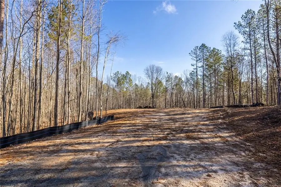 #3 Lone Bear Path Path, Dallas, GA 30132 - Image #3