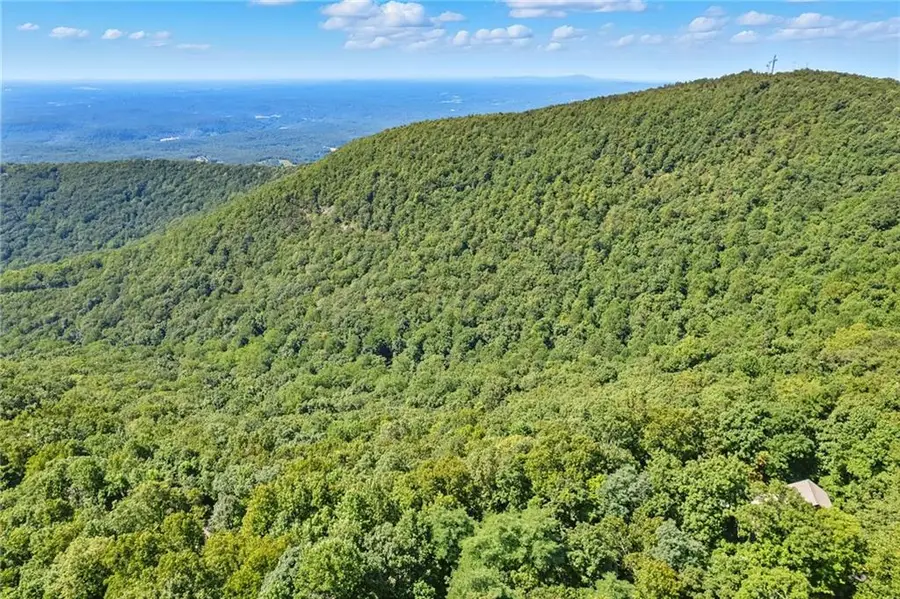 1207 Deer Run Ridge, Big Canoe, GA 30143 - #3