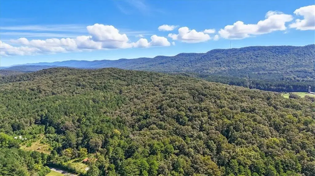 00 Maddox Lake Road, Summerville, GA 30747 - #1