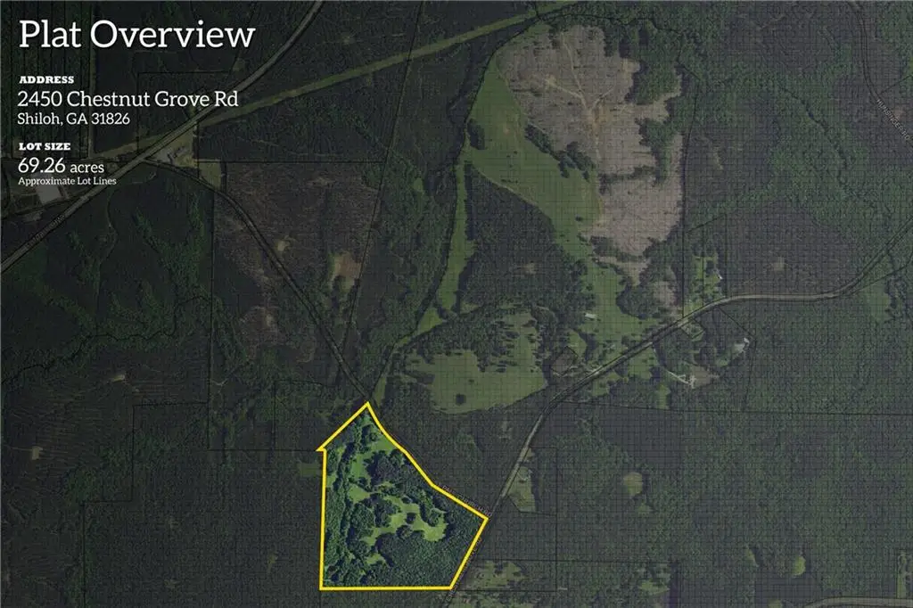 2450 Chestnut Grove Road, Shiloh, GA 31826 - Image #1