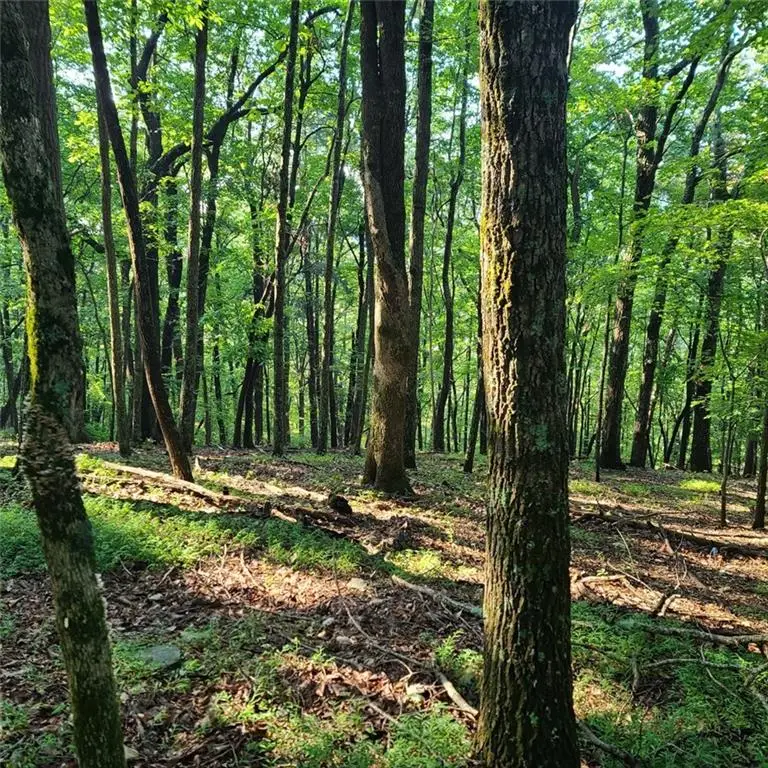 101 Deer Run, Big Canoe, GA 30143 - #3