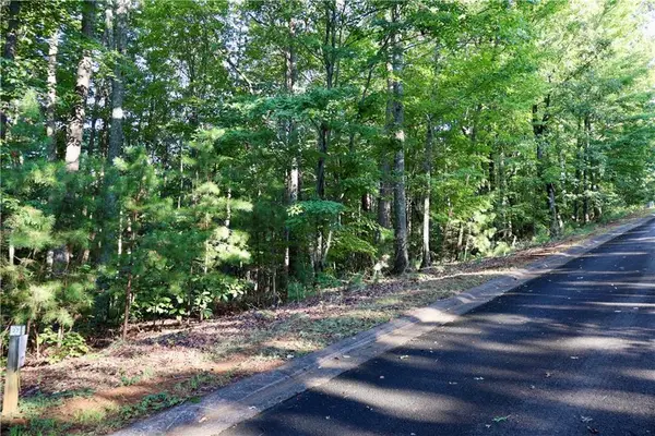 0 Saw Blade Lane, Ellijay, GA 30540