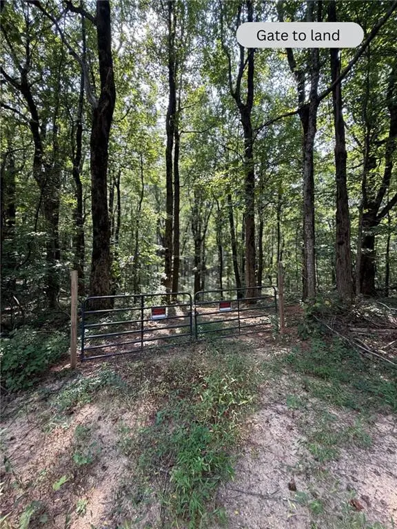 6180 Burnt Mountain Road, Ellijay, GA 30536